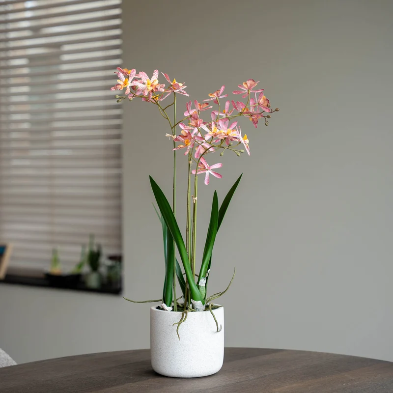 Renanthera Orchid Pink in pot - 56 cm - Artificial plant