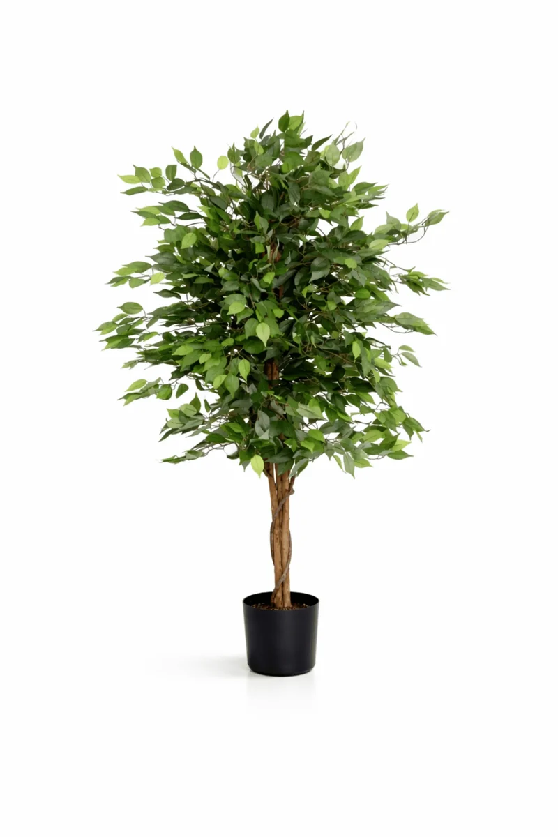 Ficus Benjamina künstlich, H: 150cm