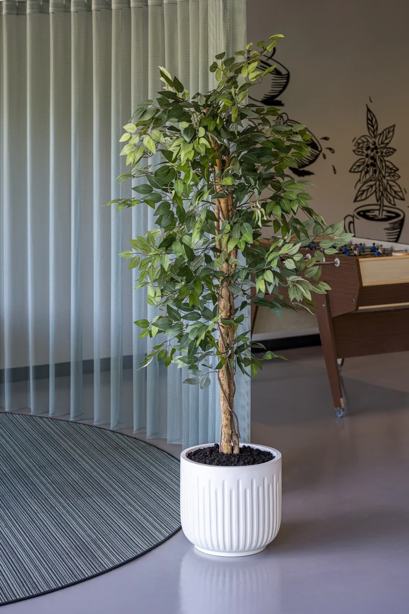 Ficus Benjamina künstlich, H: 120cm