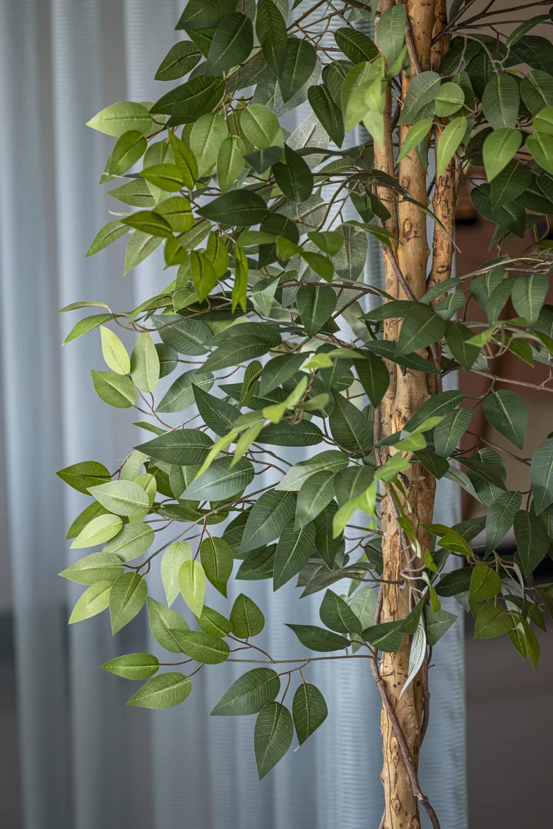 Ficus Benjamina künstlich, H: 120cm