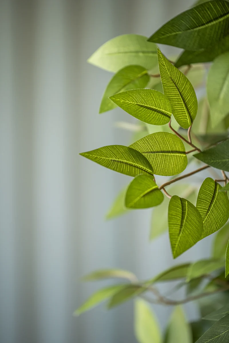 Ficus Benjamina künstlich, H: 120cm