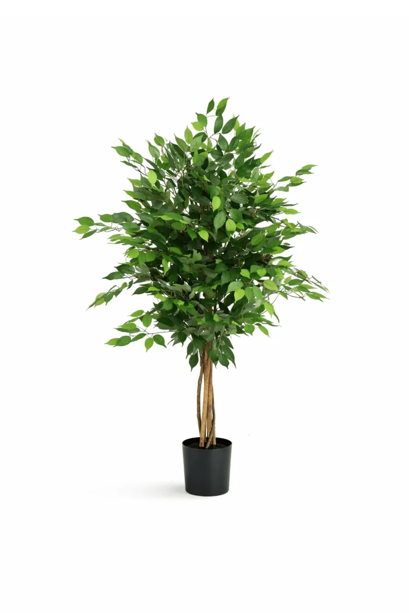 Ficus Benjamina künstlich, H: 120cm