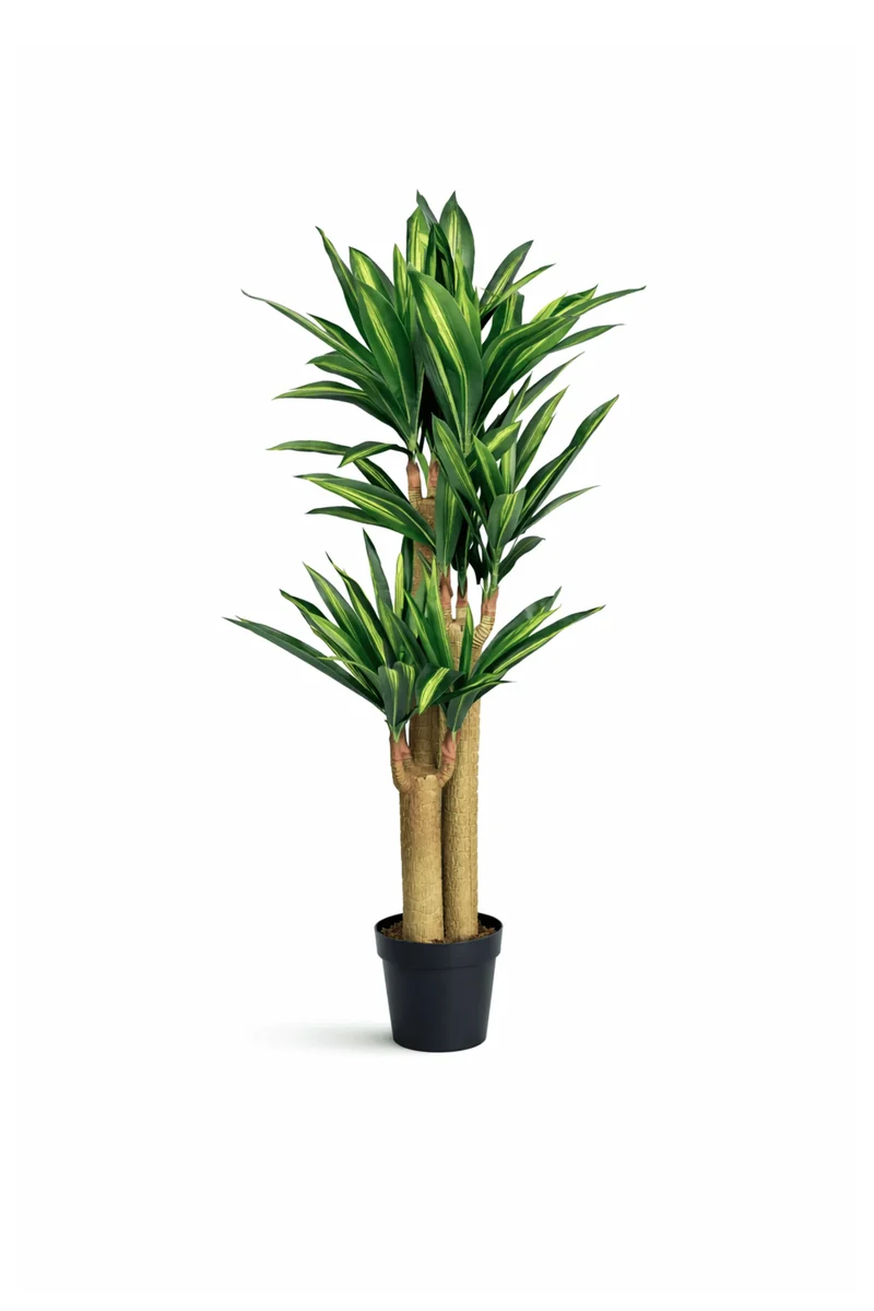 Dracaena Drachenbaum künstlich, H: 145cm