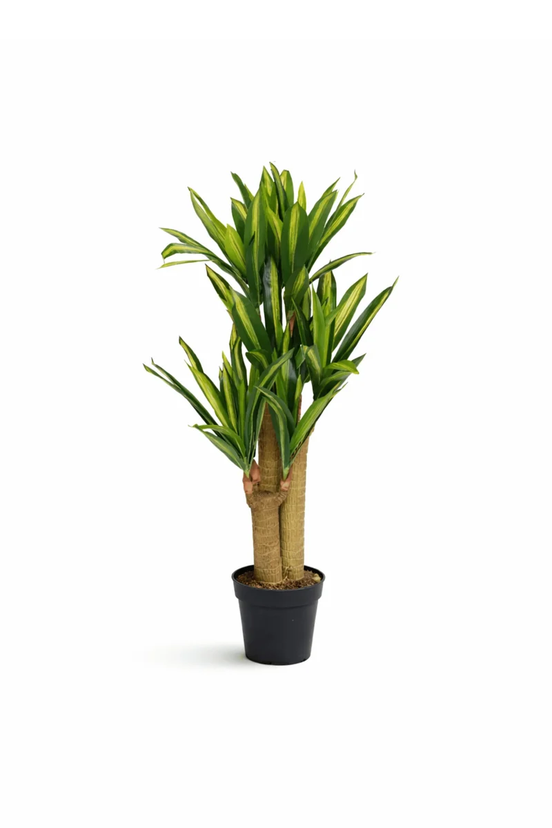 Dracaena Drachenbaum künstlich, H: 120cm