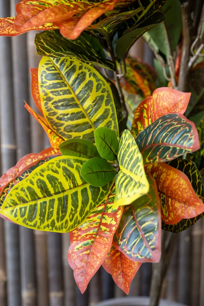 Codiaeum Wunderstrauch künstlich, H: 118cm