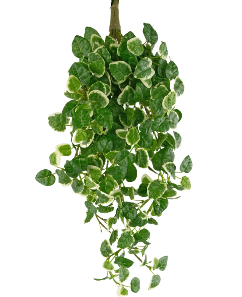 Kunst hangplant Pumila 50 cm