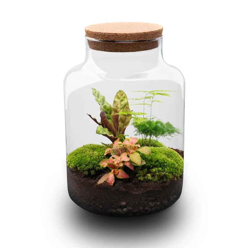Milky - Terrarium with light - Bottle garden DIY kit - Ø 21 cm ↑ 30 cm