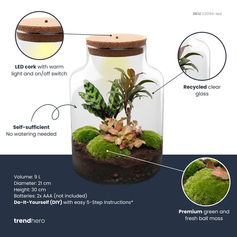 Milky Palm - Terrarium with light - Bottle garden DIY kit - Ø 21 cm ↑ 30 cm