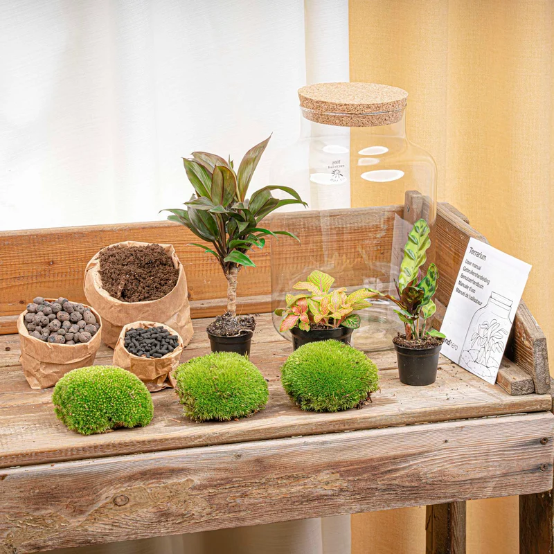 Milky Palm - Terrarium with light - Bottle garden DIY kit - Ø 21 cm ↑ 30 cm