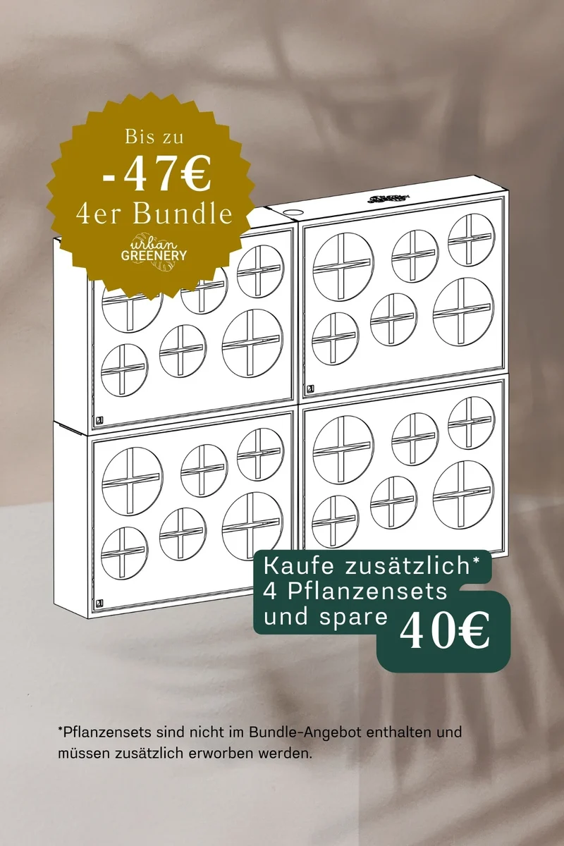 Statement Set – Große Wirkung