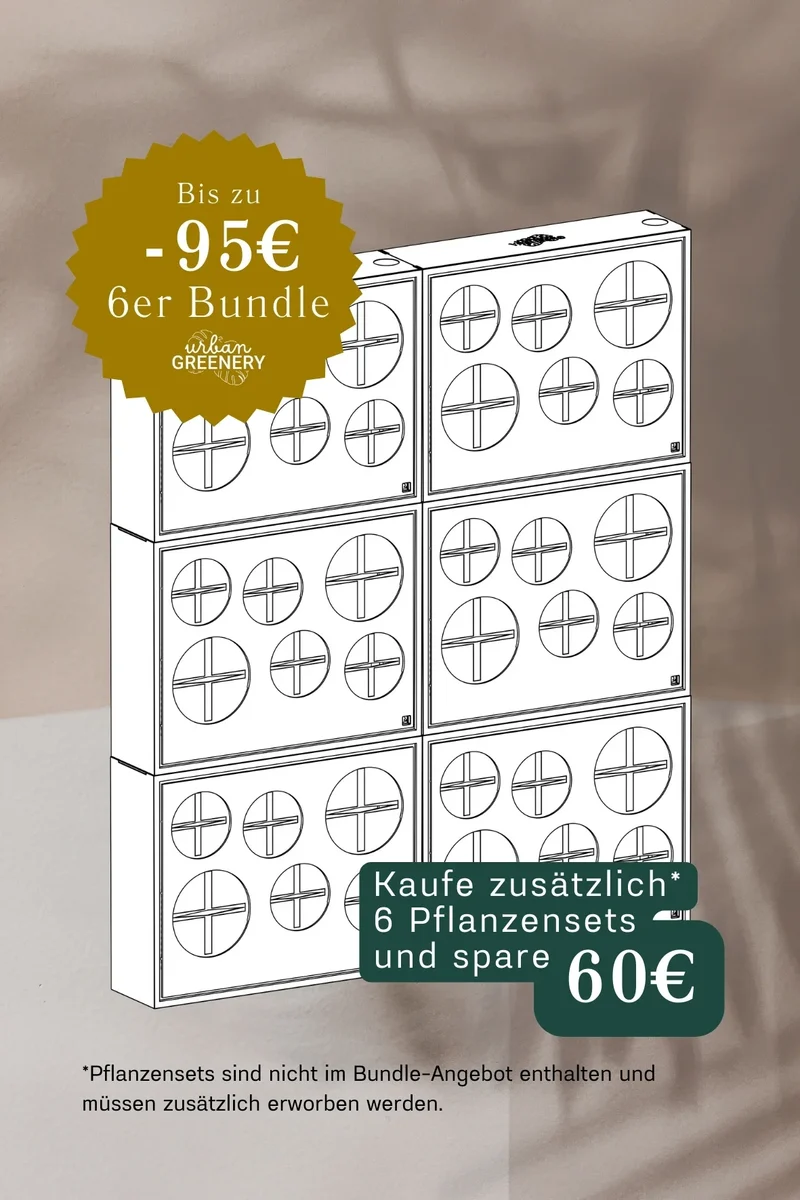 Statement Set – Große Wirkung