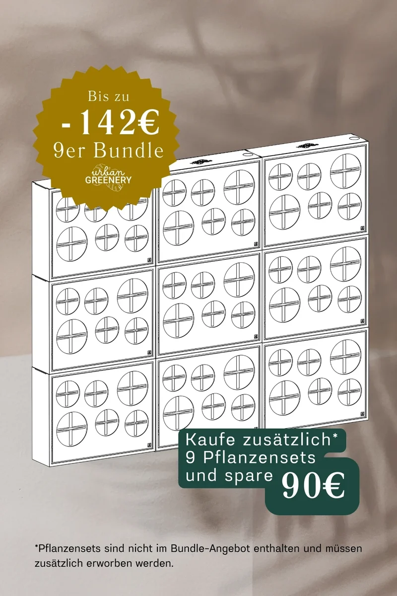 Statement Set – Große Wirkung