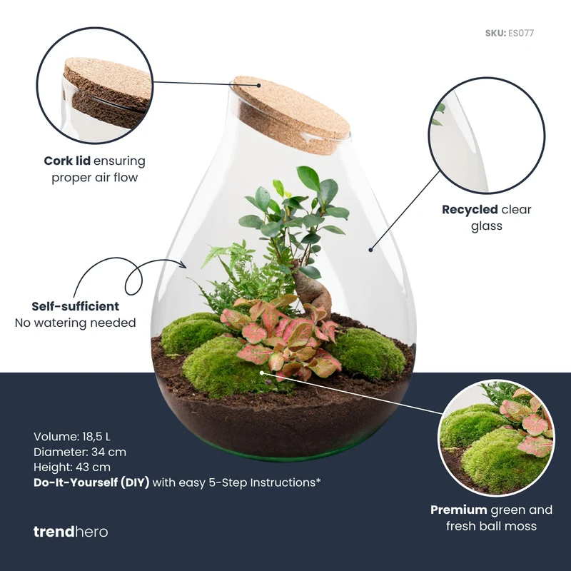 Drop XXL Bonsai - Terrarium with cork - Bottle garden DIY kit - Ø 34 cm ↑ 43 cm