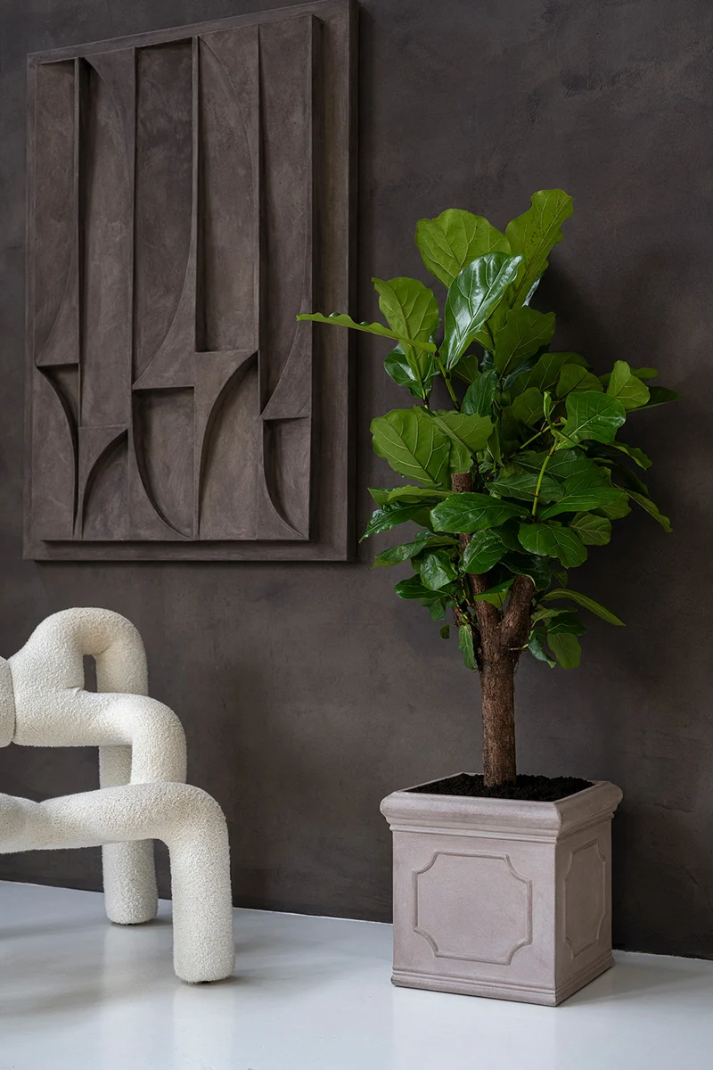Eckiger Pflanzkübel Block Classic Taupe mit Bordüre
