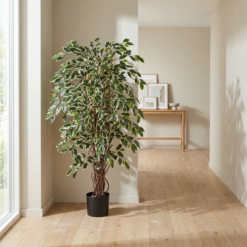Künstlicher Ficus – Ravian | 180 cm