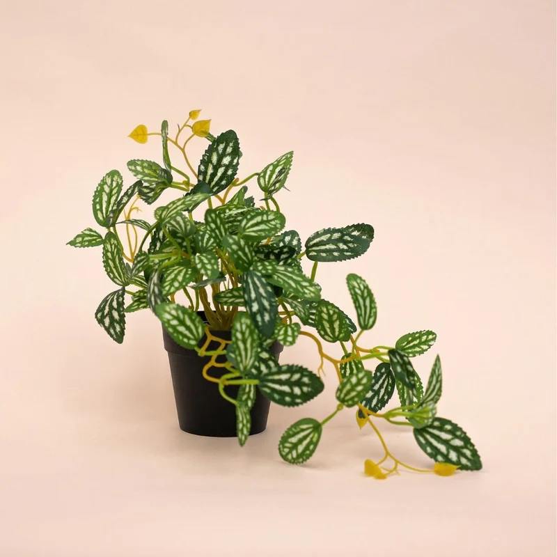 Pilea - Hanging plant in pot - Artificial plant - Green/white - ↑ 19 cm