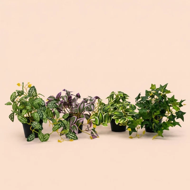 Pilea - Hanging plant in pot - Artificial plant - Green/white - ↑ 19 cm