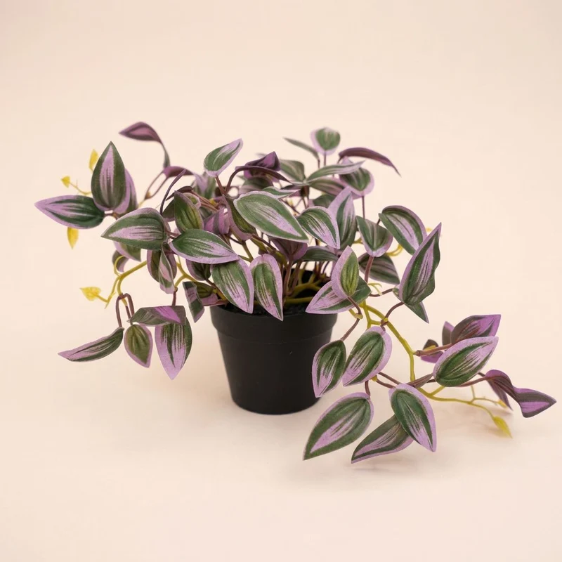 Tradescantia - Hanging plant in pot - Artificial plant - Green/purple - ↑ 19 cm