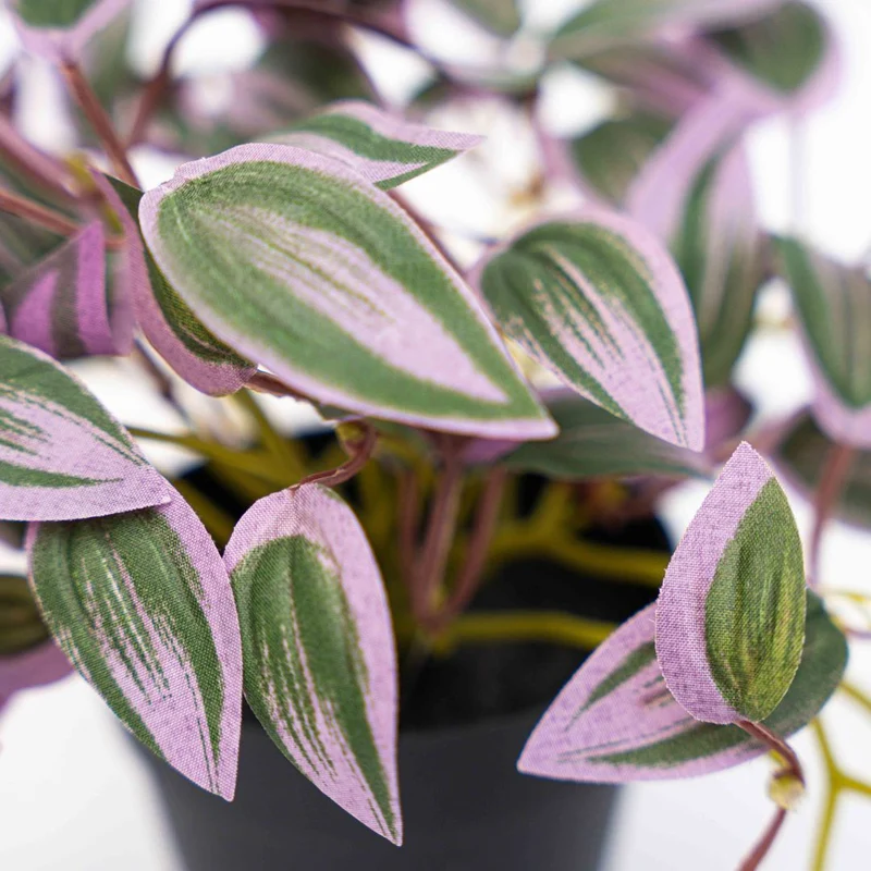 Tradescantia - Hanging plant in pot - Artificial plant - Green/purple - ↑ 19 cm