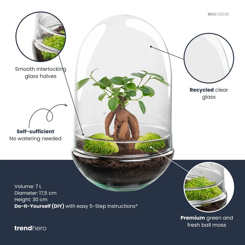 Egg XL Bonsai - Terrarium - Two-part glass dome - Bottle garden DIY kit - Ø 17.5 cm ↑ 30 cm