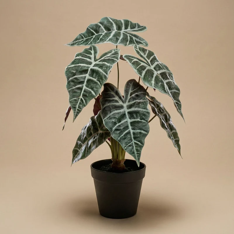 Alocasia bush in pot 40 cm - Artificial plant