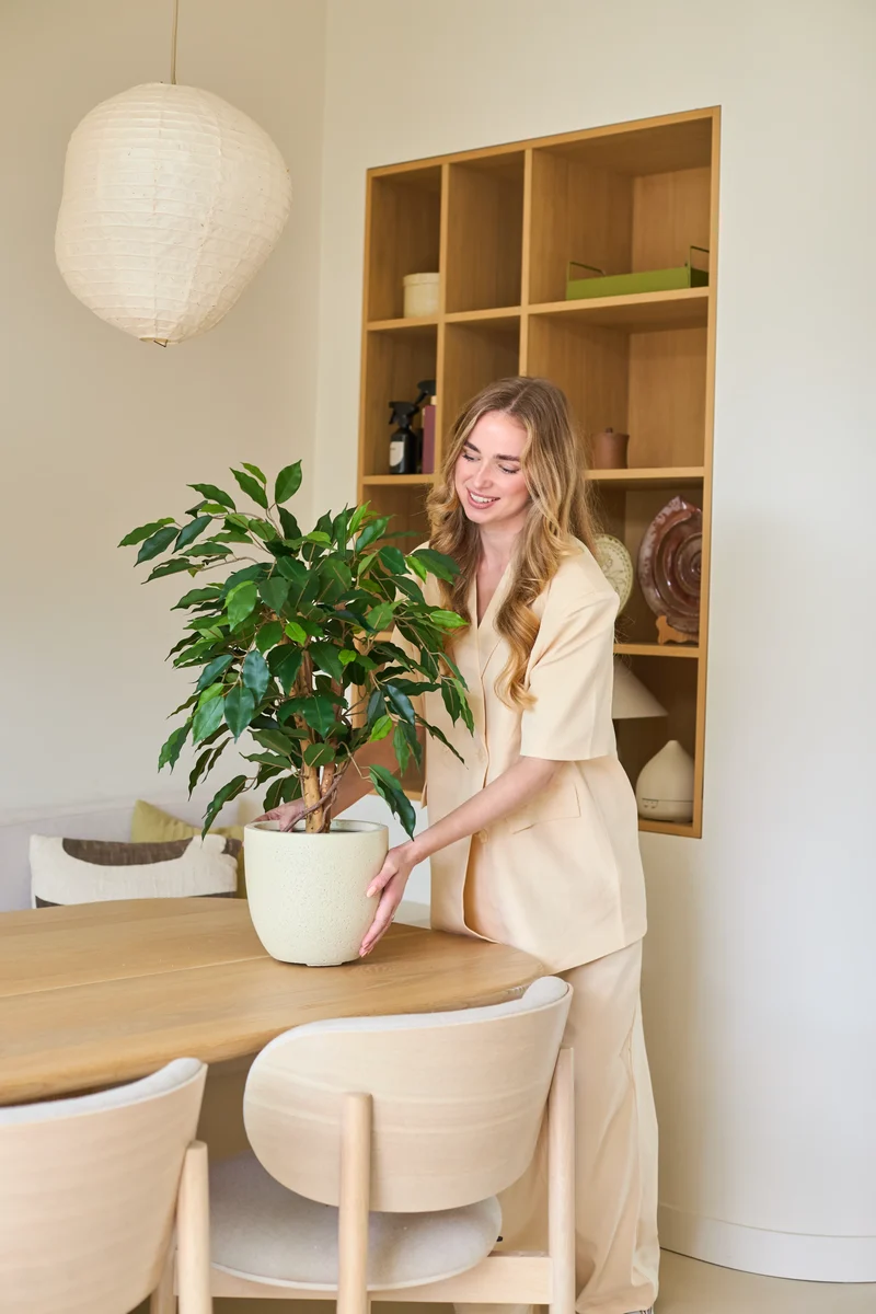 Kunstplant Ficus Groen 90 cm
