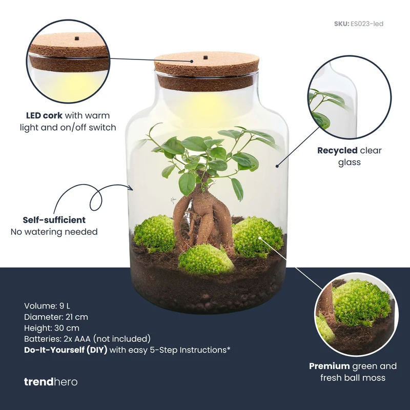 Milky Bonsai - Terrarium with light - Bottle garden DIY kit - Ø 21 cm ↑ 30 cm