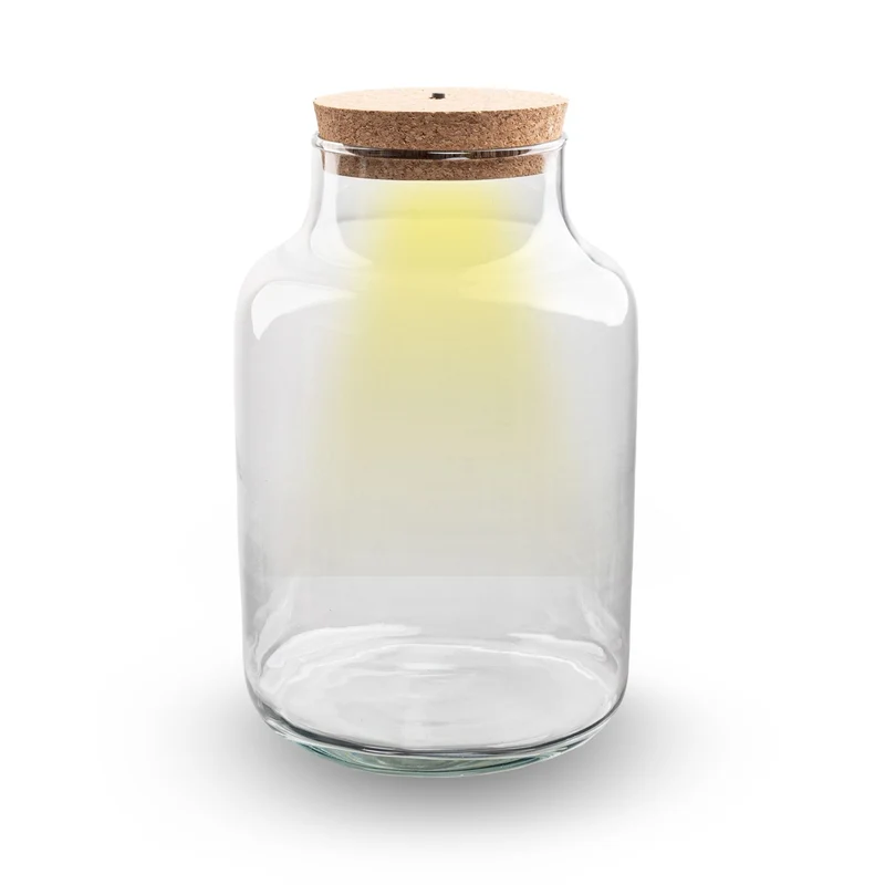 Terrarium bottle 'Milky' with LED-lighting - Closed terrarium Ø 21 cm ↑ 30 cm