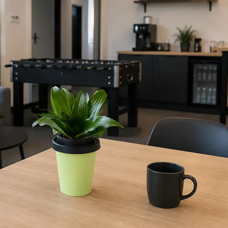 Mix & Match ggreeno® Tischpflanzen