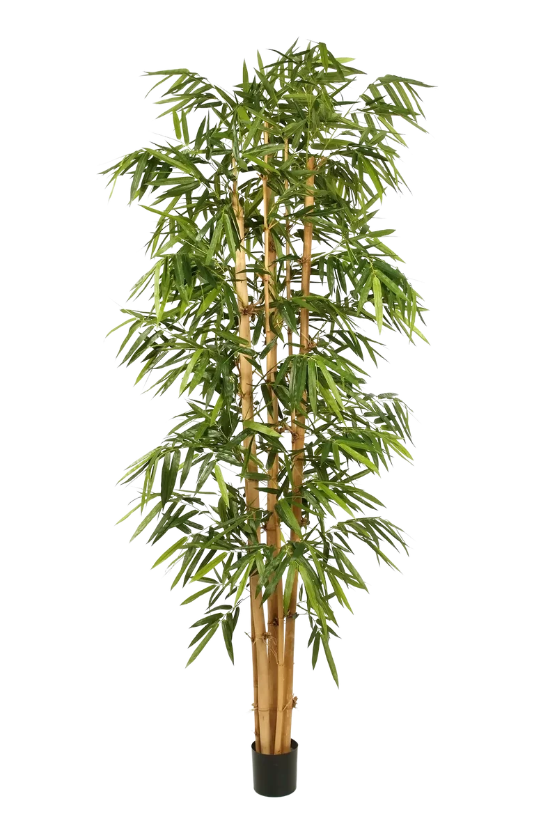 Künstlicher Bambus – Kenai | 180 cm