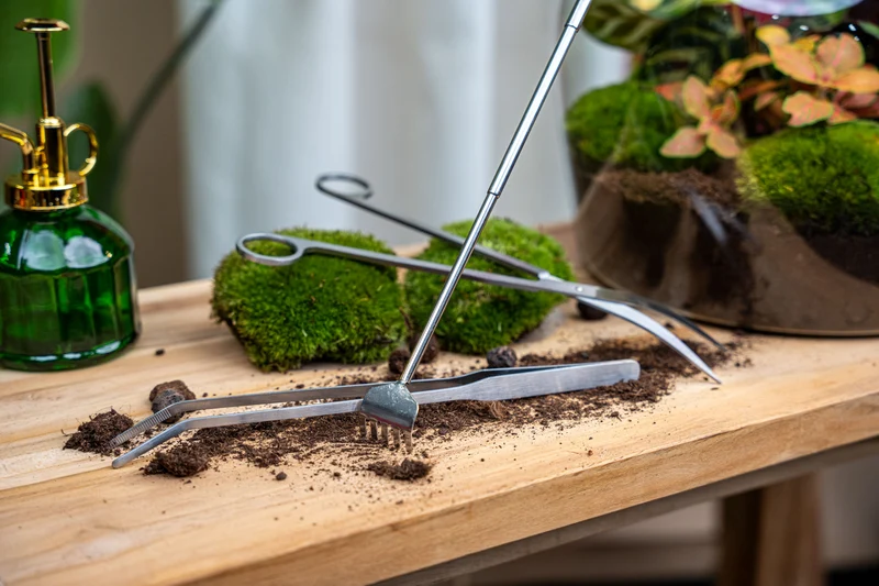 Terrarium Tools Bundle