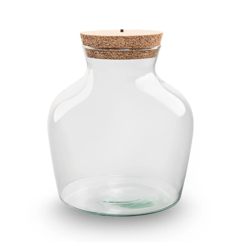 Terrarium bottle 'Little Joe' - Incl. LED cork - Closed terrarium Ø 20 cm ↑ 22 cm