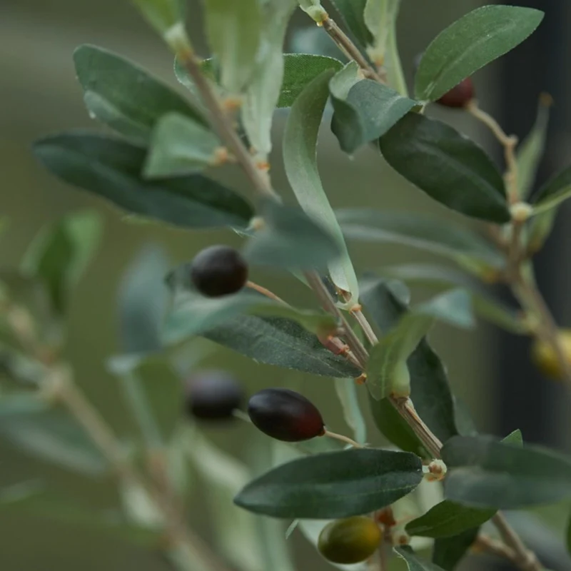Olive Mini Tree in Pot 65cm – Artificial Plant