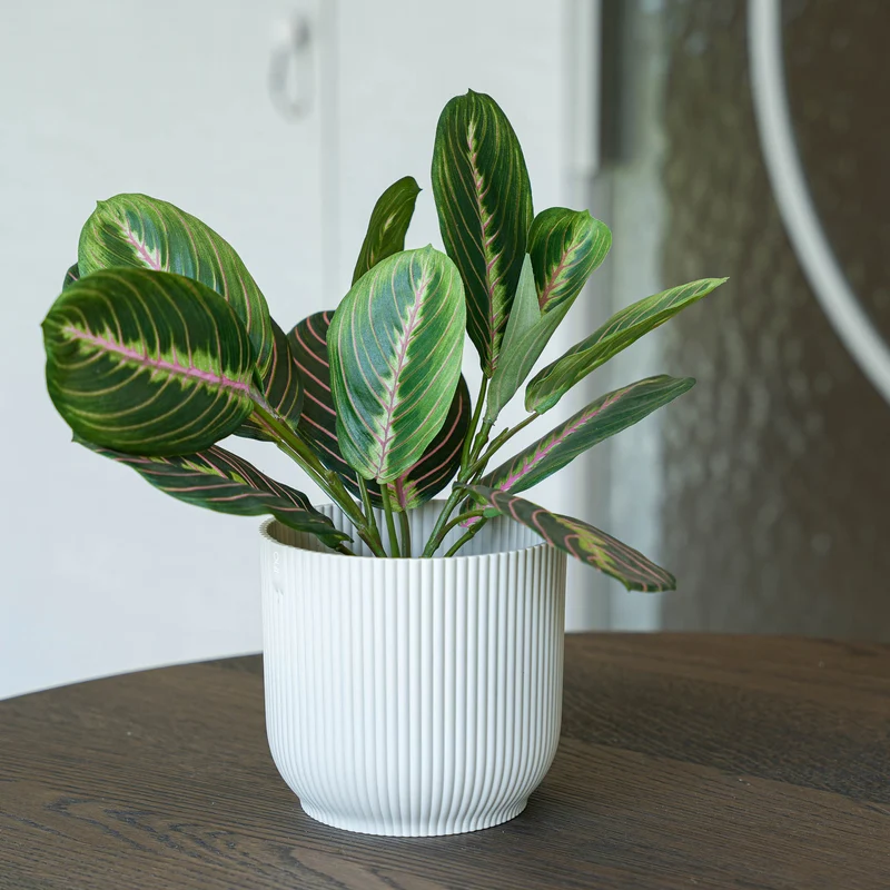 Maranta bush in pot - Artificial plant - 30 cm