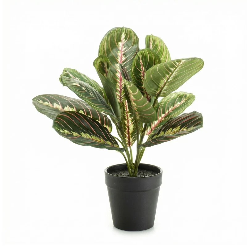 Maranta bush in pot - Artificial plant - 30 cm