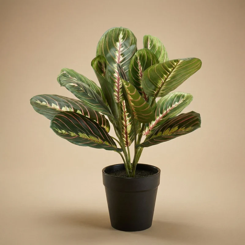 Maranta bush in pot - Artificial plant - 30 cm