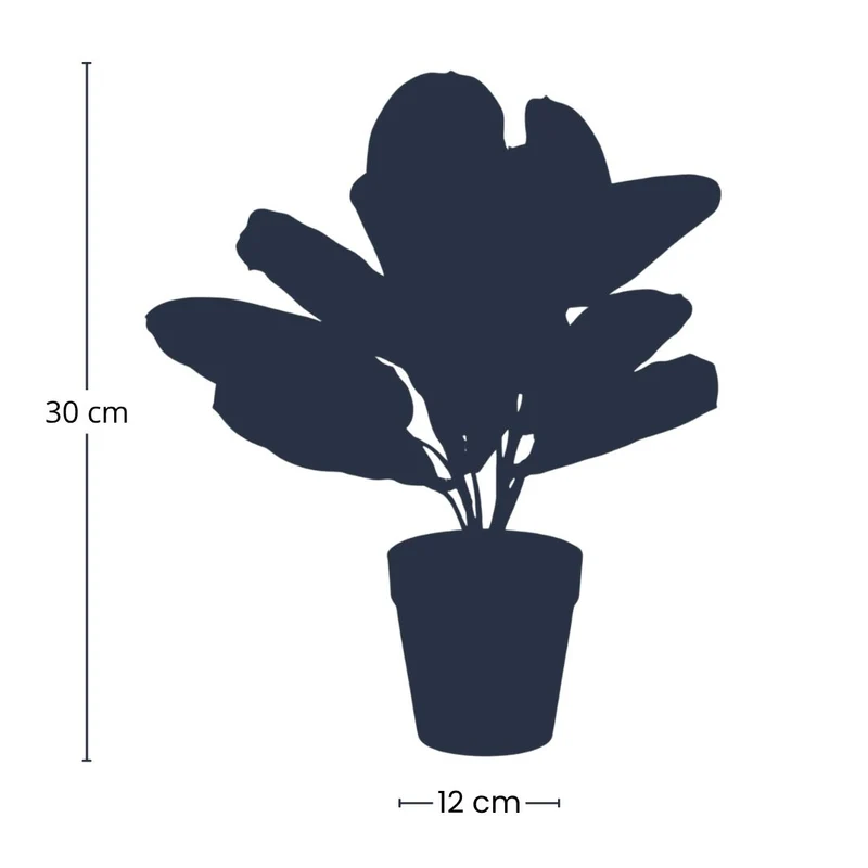 Maranta bush in pot - Artificial plant - 30 cm