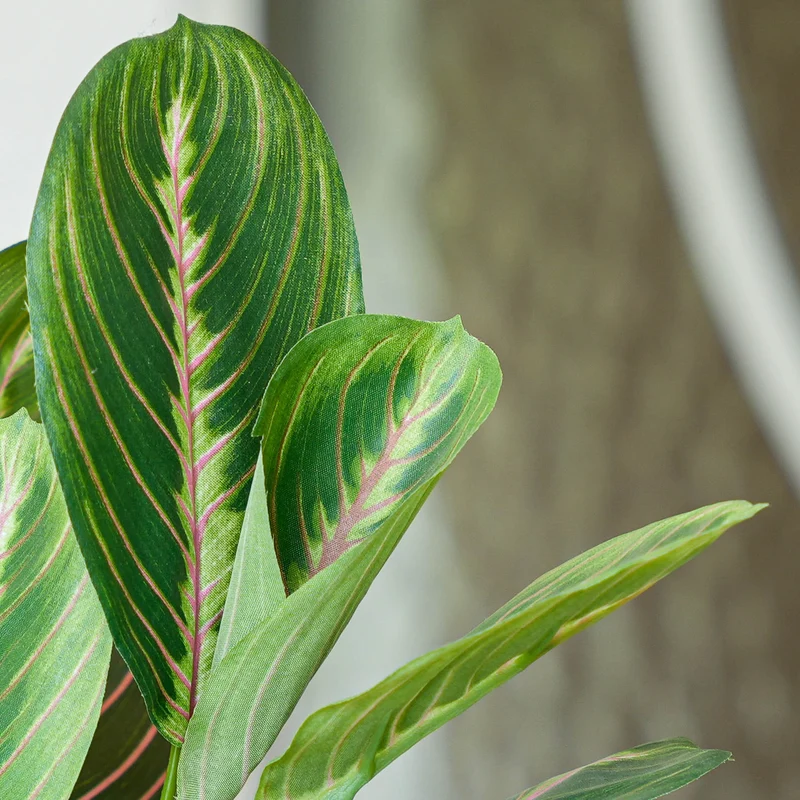 Maranta bush in pot - Artificial plant - 30 cm