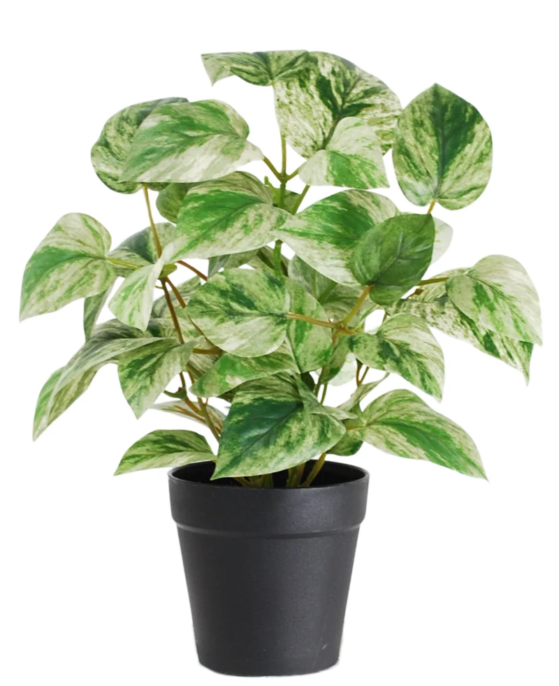 Kunstplant Gouden Wijnstok in Pot 25cm