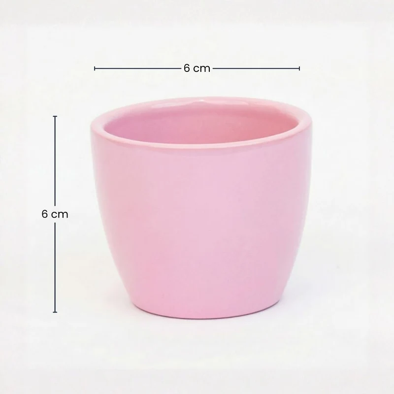 Pastellrosa - Mini Plant Pot - Boule Pot light pink - Ø 6 cm ↑ 6 cm