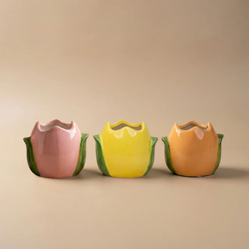 Easter plant pot set - Tulip pots with mini plants - Set of 3