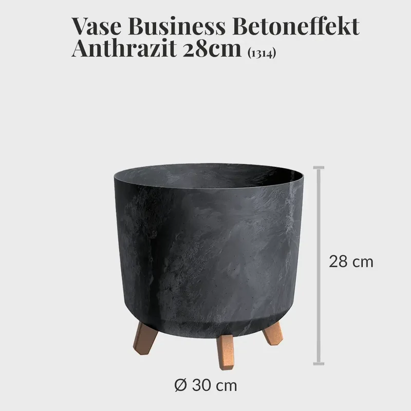 Leasing Basic Büropflanzen - 3er Set Instyle