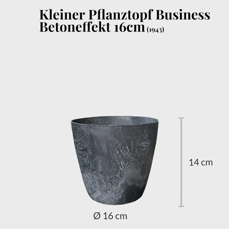 Leasing Basic Büropflanzen - 3er Set Instyle