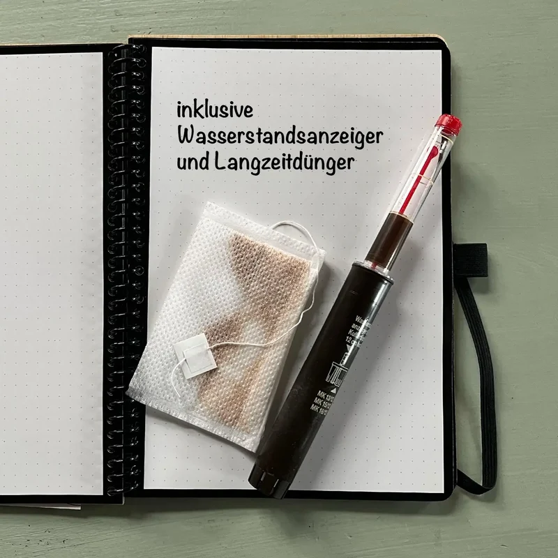 Palettenset Classico-Keramik : 5XXL Büropflanzen in Hydrokultur
