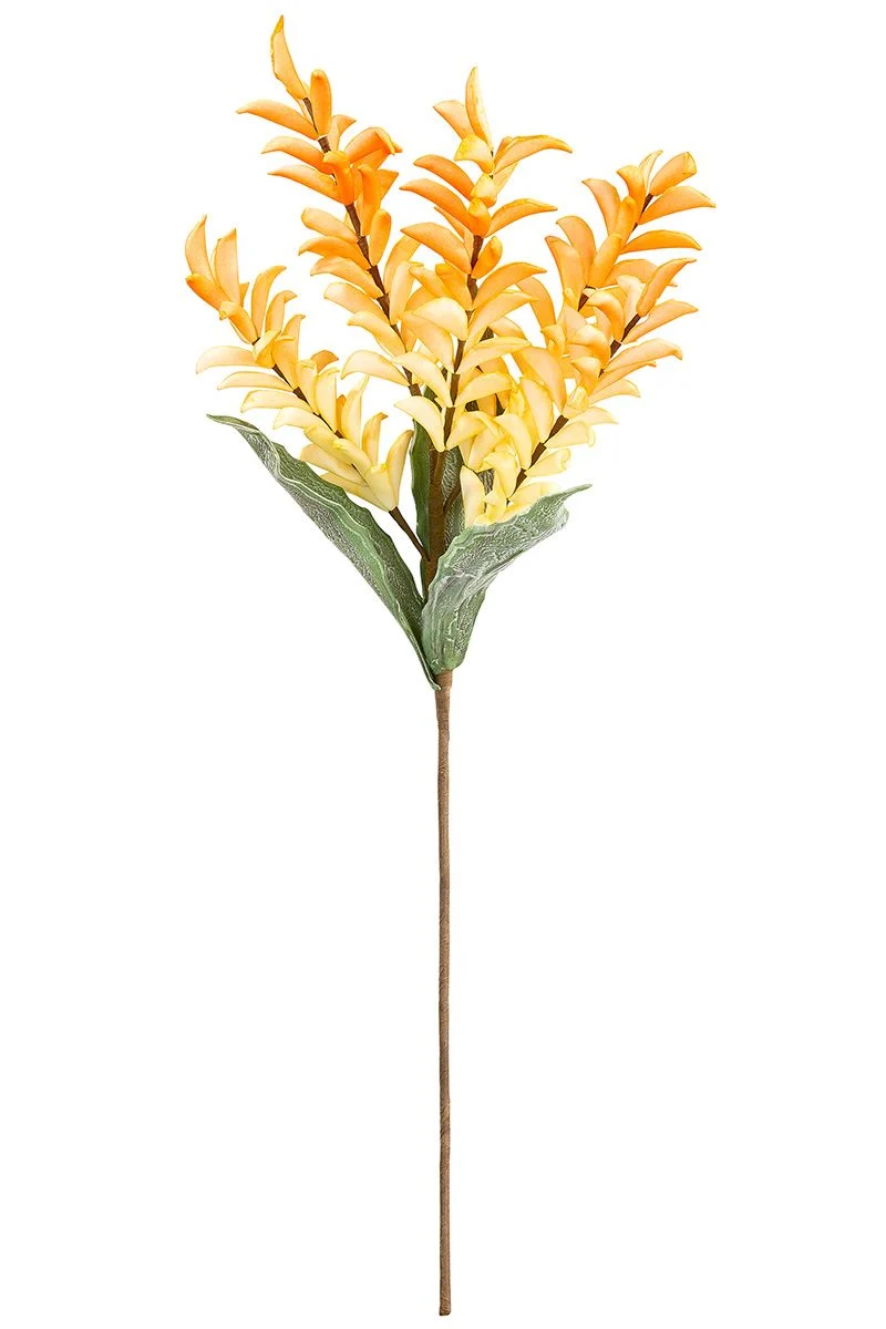Zweig Flower, "Pipo"