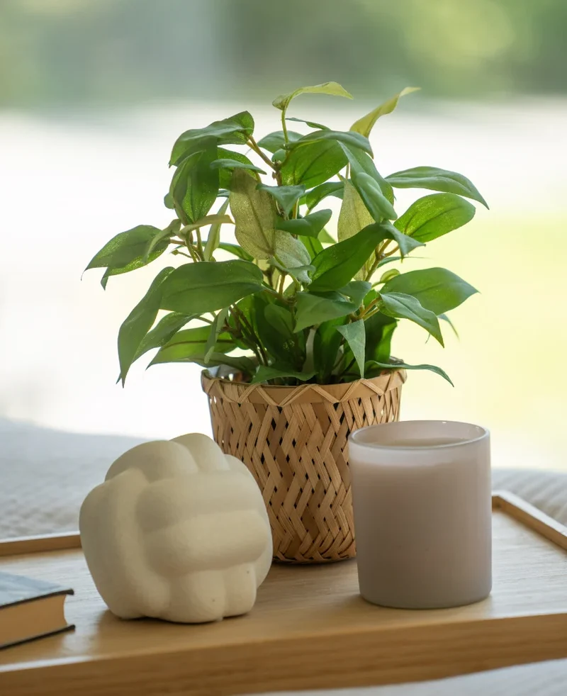 Kunstplant "House Wanderer" in Pot 25cm