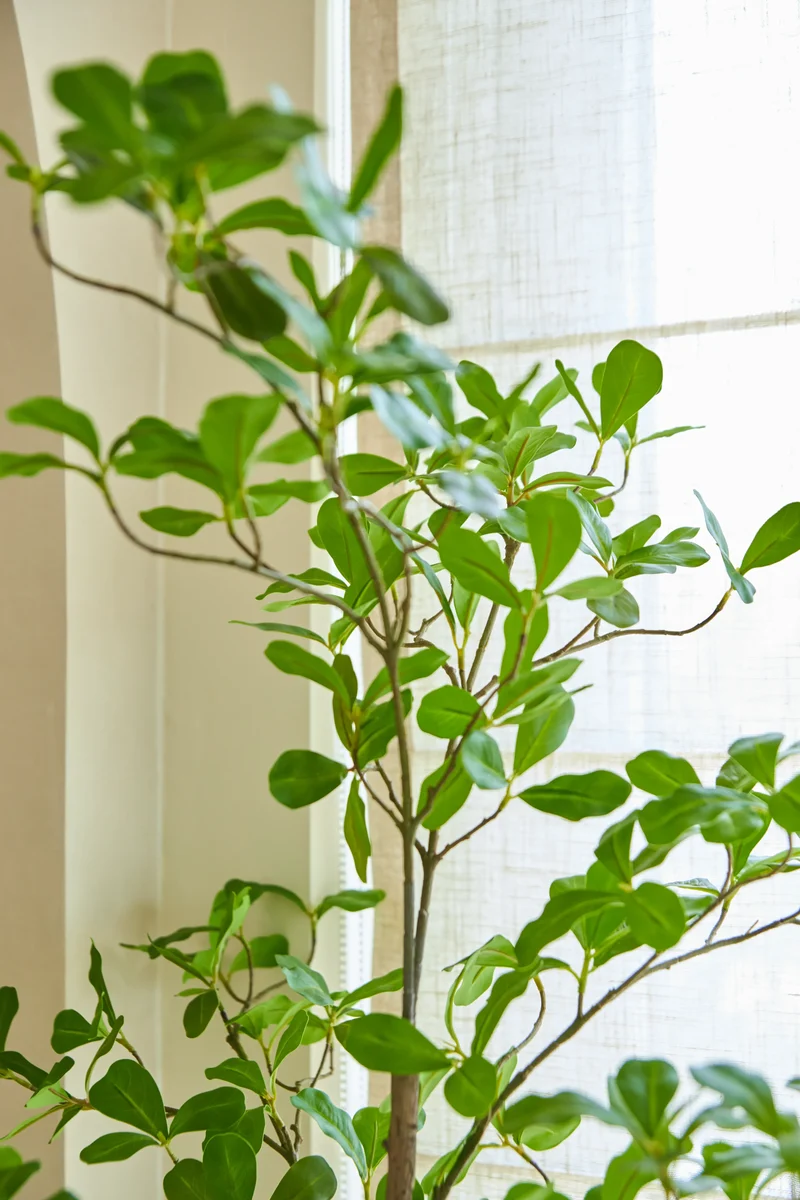 Kunstplant Terminalia Catappa 210 cm