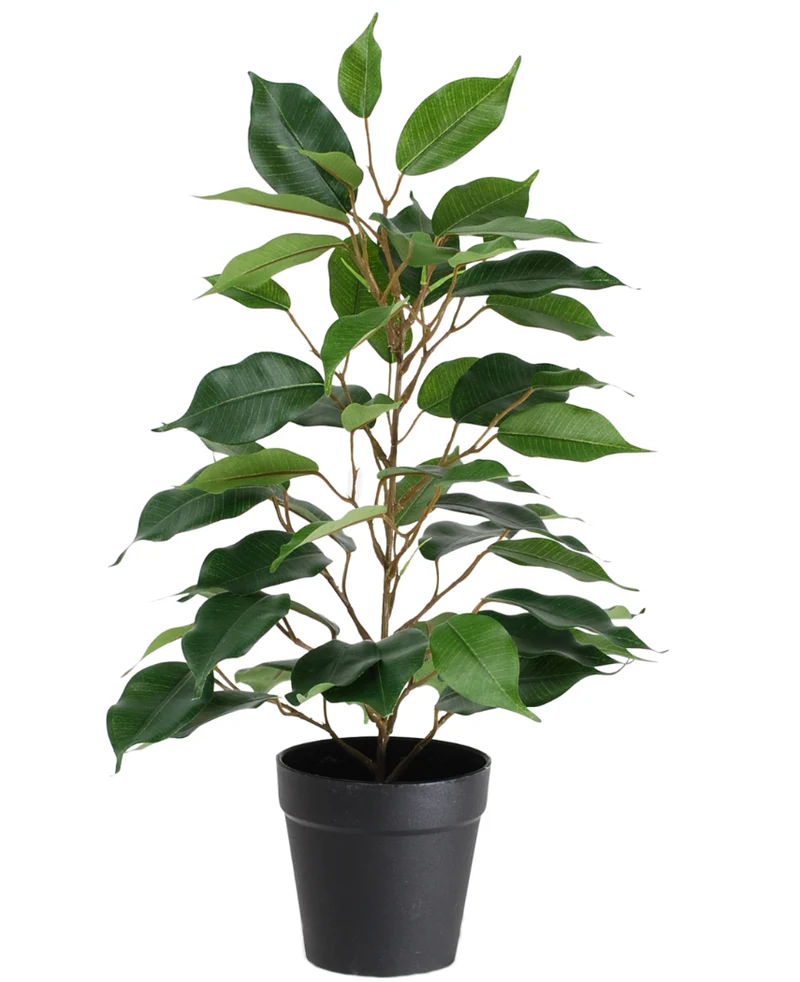 Kunstplant Ficus in Pot 40cm