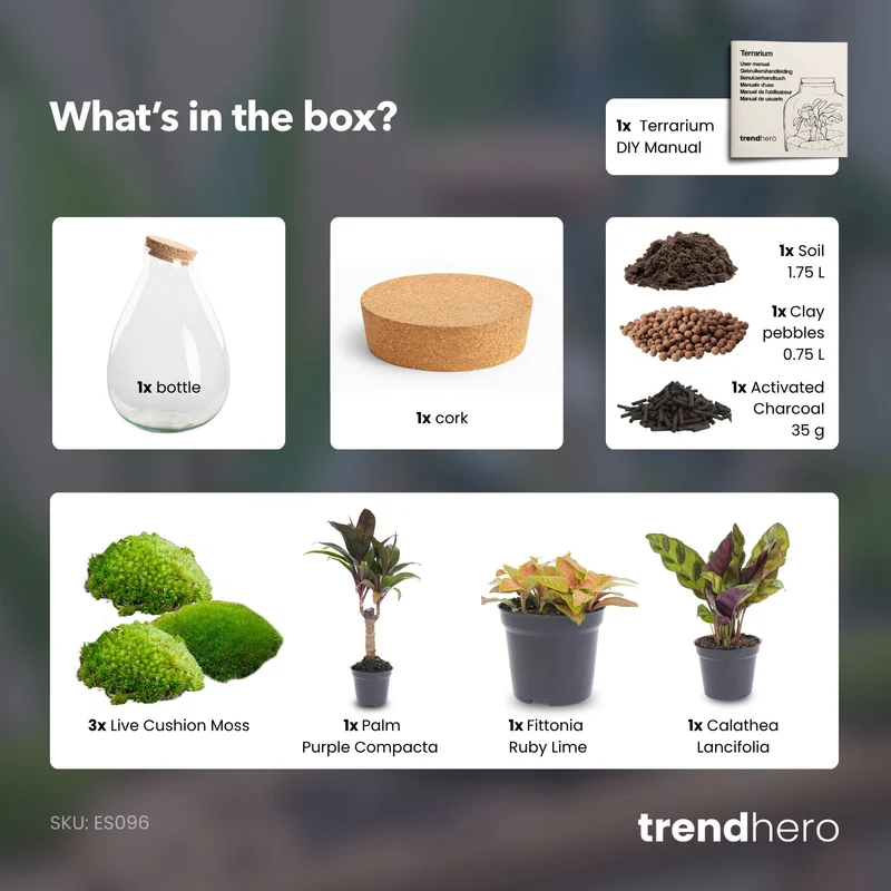 Drop XL Palm - Terrarium with cork - Bottle garden DIY kit – Ø 24 cm ↑ 37 cm