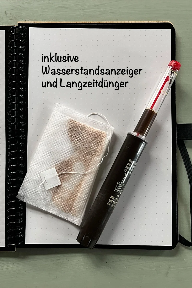 Hydro Kingsize Drachenbaum Rikki 110-120cm
